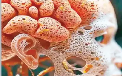 نقص الماء بالجسم يسبب تدهور العقل