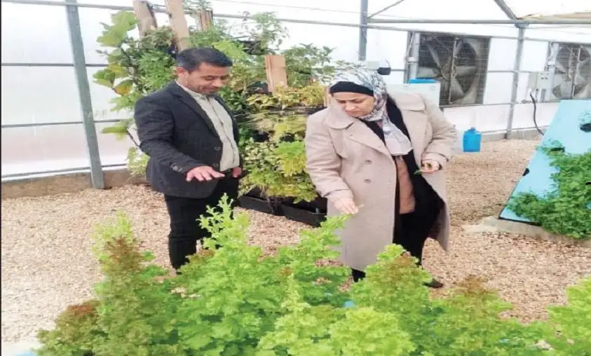 جرش : خطة لإنتاج مليون شتلة