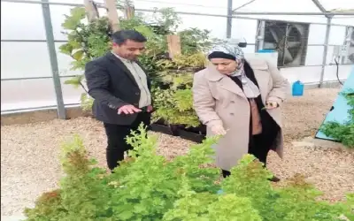 جرش : خطة لإنتاج مليون شتلة
