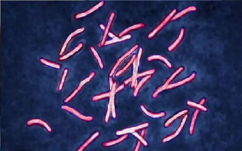 غوغل تكشف في يومين لغزا عن