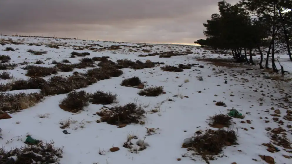 طقس شديد البرودة وثلوج خفيفة على