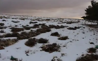 طقس شديد البرودة وثلوج خفيفة على