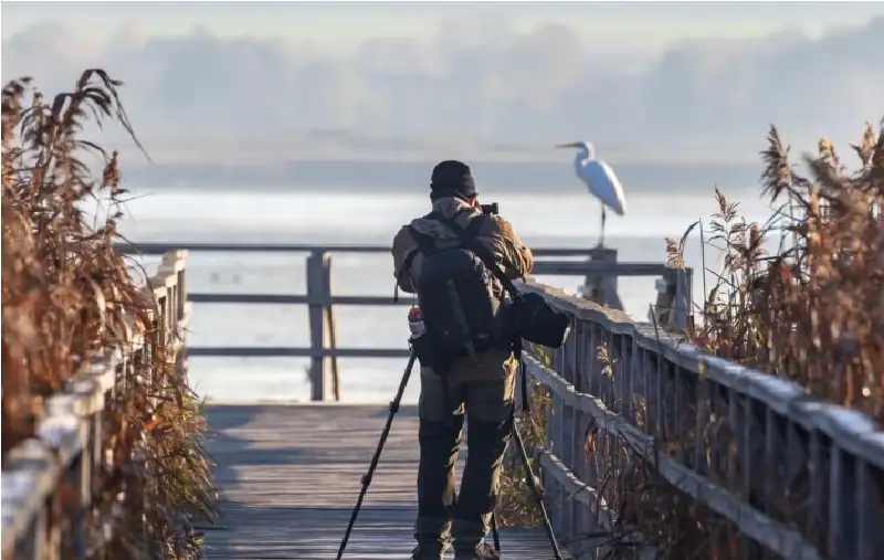 الذكاء الاصطناعي يهدد الملايين من المصورين