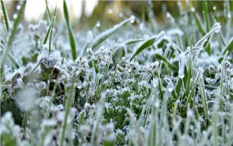 تسجيل درجات حرارة دون الصفر المئوي