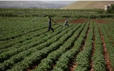 وزارة العمل تفتح باب استقدام العمالة