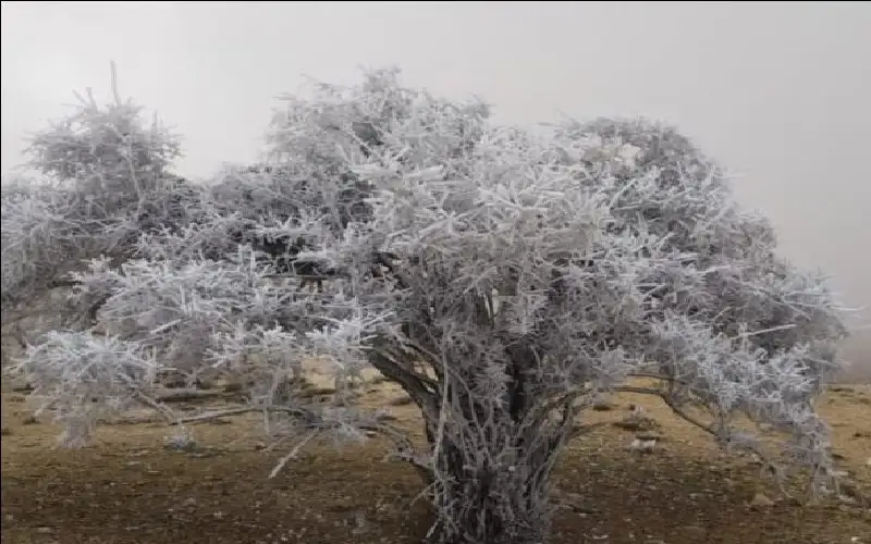 -8.2 تحت الصفر اقل درجة حرارة