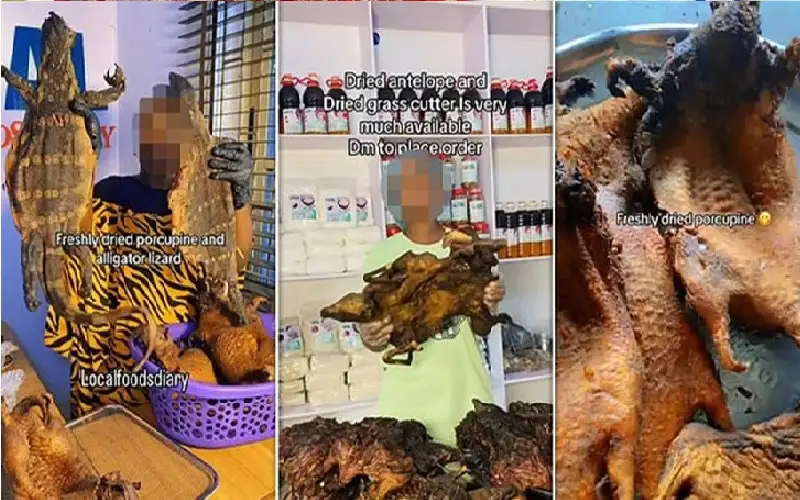 إيبولا يهدد بالانتشار في بريطانيا بسبب