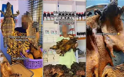 إيبولا يهدد بالانتشار في بريطانيا بسبب