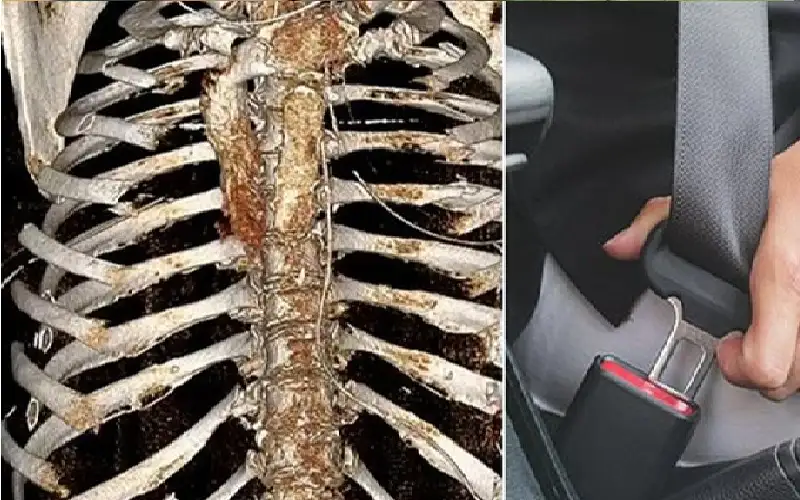 هذا ما حدث لسائقة لم تضع