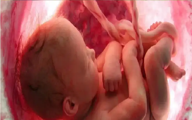 وزن الأم خلال الحمل.. عامل أساسي