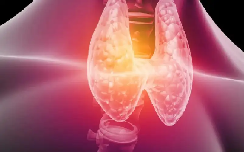 الغدة الدرقية وقدرتك الإنجابية.. علاقة خطيرة