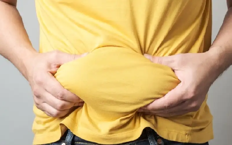 دهون البطن مفيدة للدماغ.. في حدود