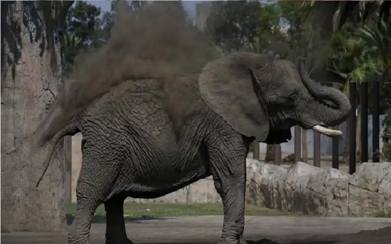 في سابقة قضائية.. محكمة مكسيكية تنصف