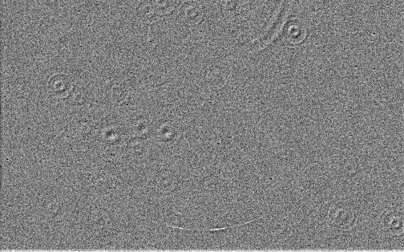 شاهد.. صورة لتولد هلال رمضان 2025