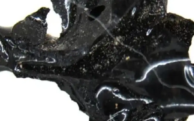 دماغ شاب تحول إلى زجاج.. اكتشاف