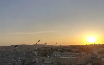 ارتفاع على درجات الحرارة الأحد