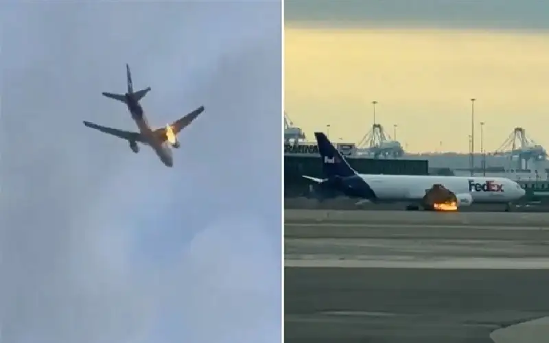 شاهد.. طائر يتسبب في اشتعال محرك