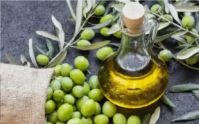 الأردن.. %43.2 ارتفاع كمية الإنتاج من