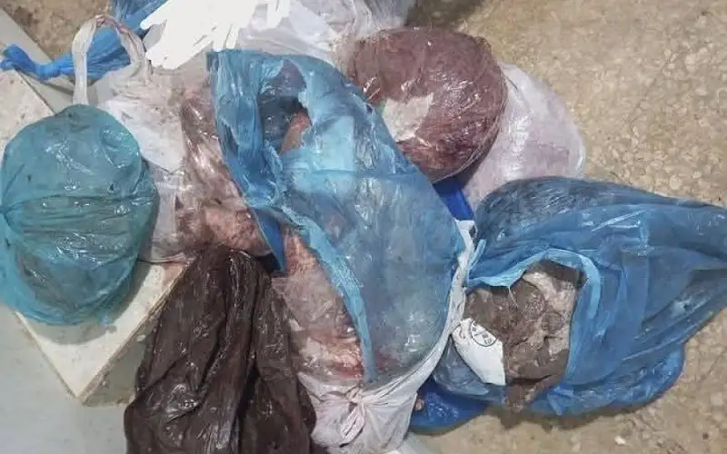 بلدية الكرك الكبرى تتلف لحوما غير