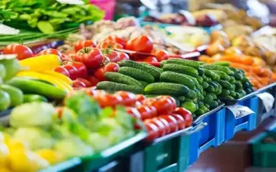 تجار ومصدري الخضار والفواكه: الخضروات الرئيسية