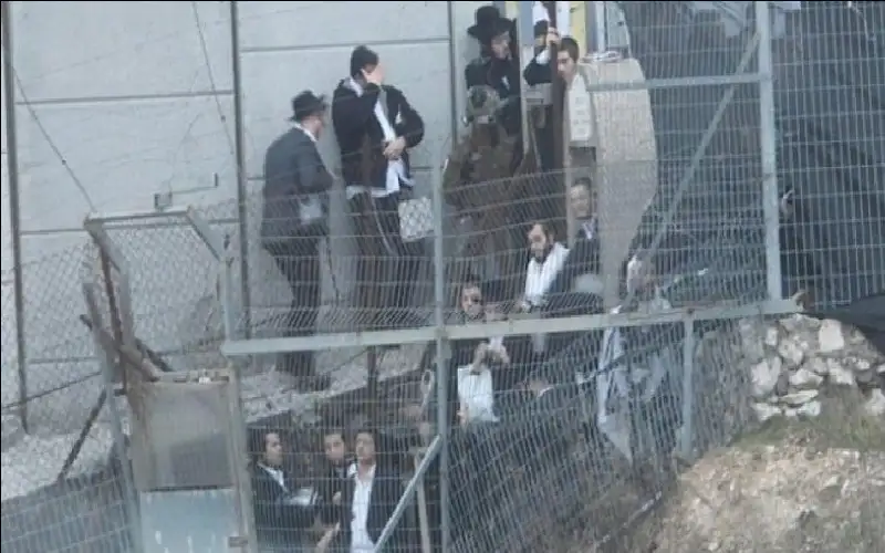 مئات المستوطنين يقتحمون قبر العباد في