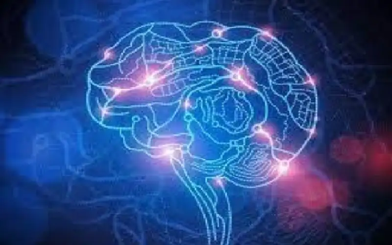 مضغ مواد صلبة ينشط الدماغ