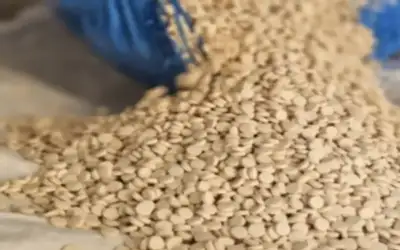 سوريا تضبط 100 ألف حبة كبتاغون