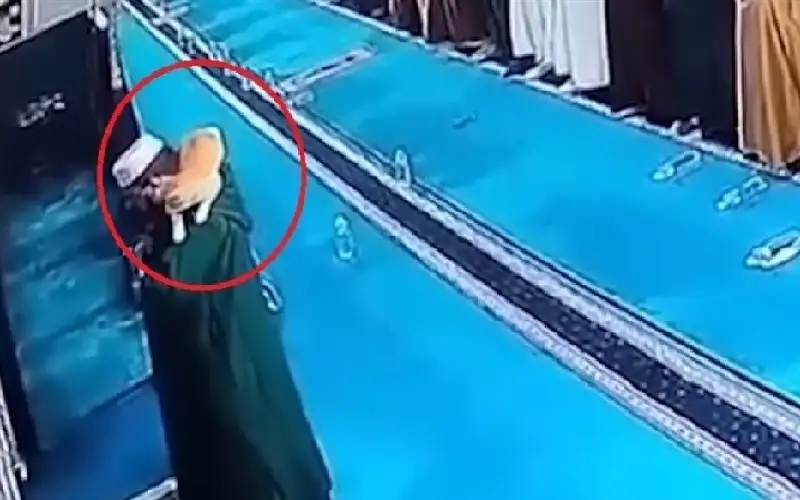 قطة تشارك الإمام صلاة التراويح في