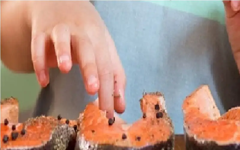 دراسة: تناول السمك مرتبط بتطور الشخصية