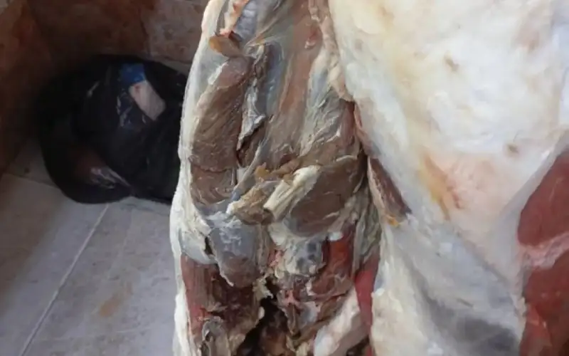 إغلاق 3 ملاحم بعد ضبط 313