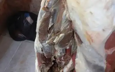 إغلاق 3 ملاحم بعد ضبط 313