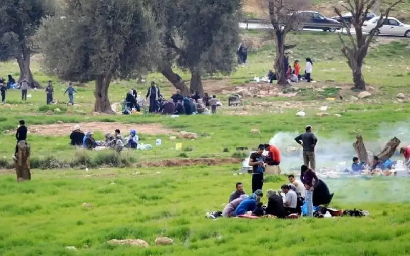 أجواء مناسبة للرحلات والإفطار الخارجي نهاية