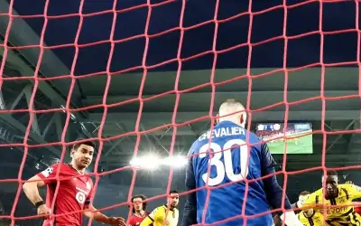 بوروسيا دورتموند يتجاوز ليل ويضرب موعدا