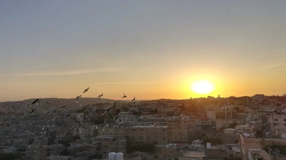 طقس مشمس ودافئ اليوم في أغلب