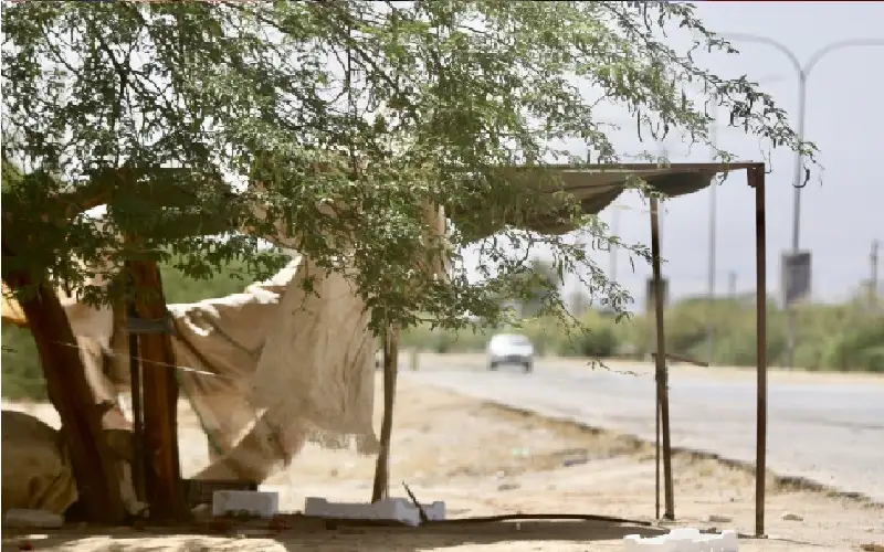 الحرارة أعلى من معدلاتها بـ 11