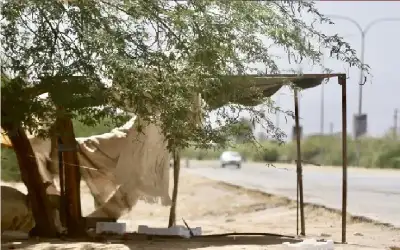 الحرارة أعلى من معدلاتها بـ 11