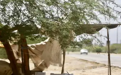 الحرارة أعلى من معدلاتها بـ 11