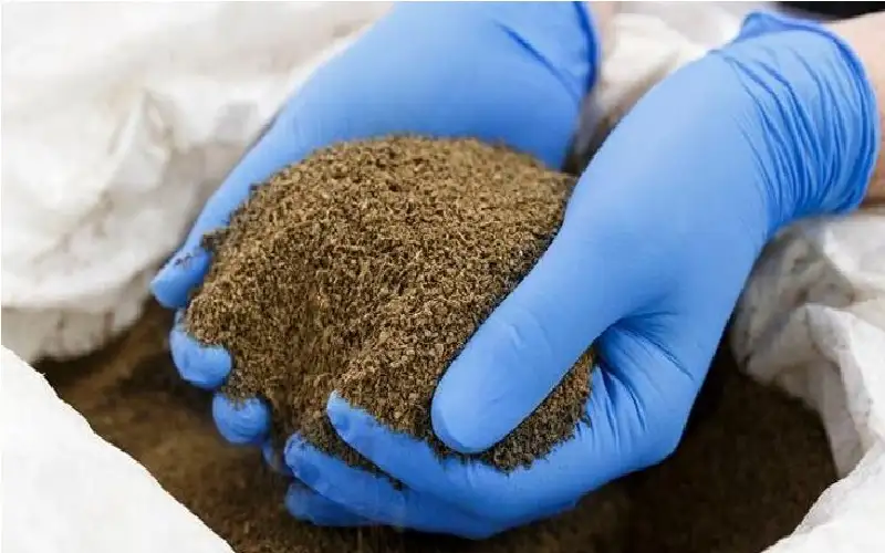 كعك العيد في إندونيسيا.. تعزيز التغذية