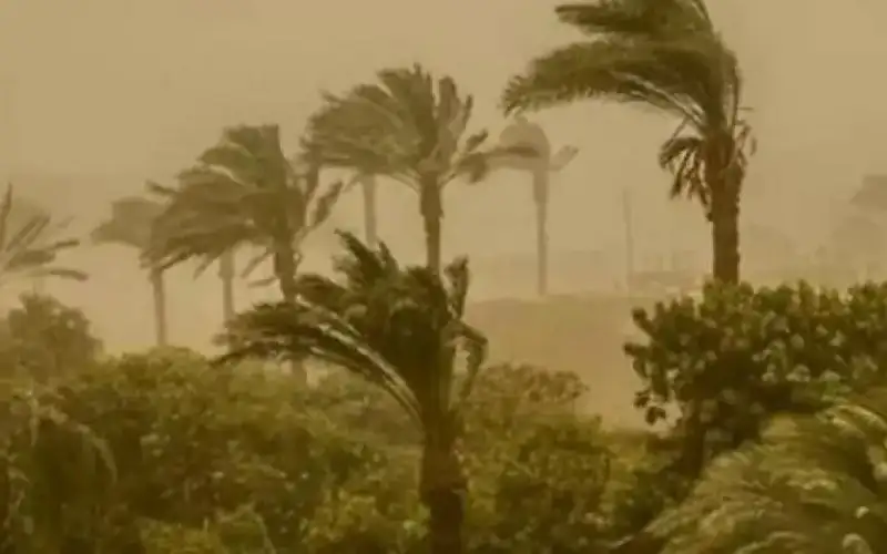 أيام الحسوم تضرب مصر.. تحذيرات للمزارعين