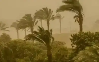أيام الحسوم تضرب مصر.. تحذيرات للمزارعين