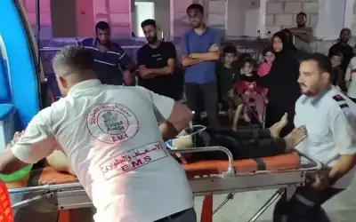 أثناء جمع الحطب .. 4 شهداء
