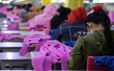 البنك الدولي صرف 33.8% من تمويل