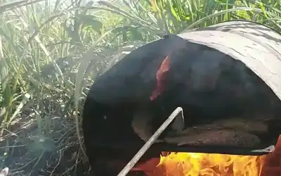 الحياة داخل برميل