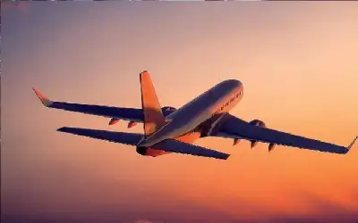 أسرار صناعة الطيران.. لماذا لا نسافر