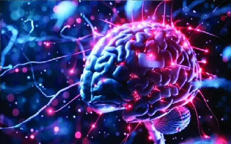 هل تجاوز البشر نقطة الذروة لقدراتهم