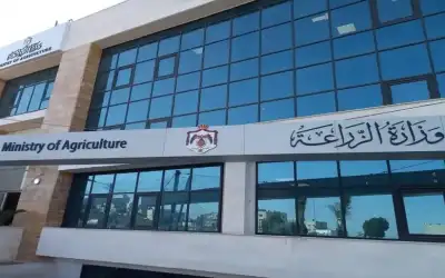 فرص استثمارية لإنشاء مصانع غذائية في