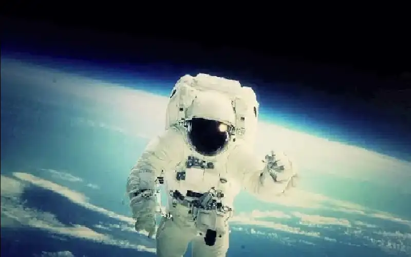 ثم أن المجانين يتحدثون عن العيش