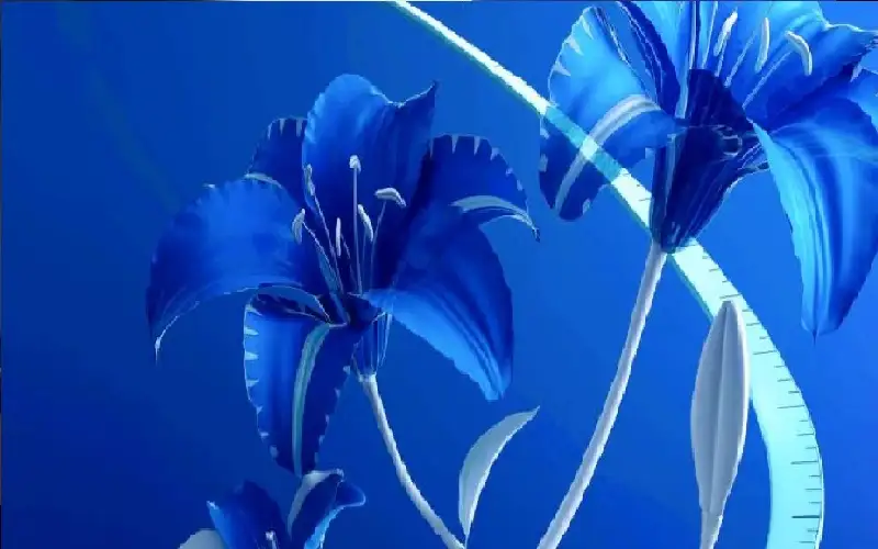 المنافسة تدفع أوروبا لمراجعة التزاماتها البيئية