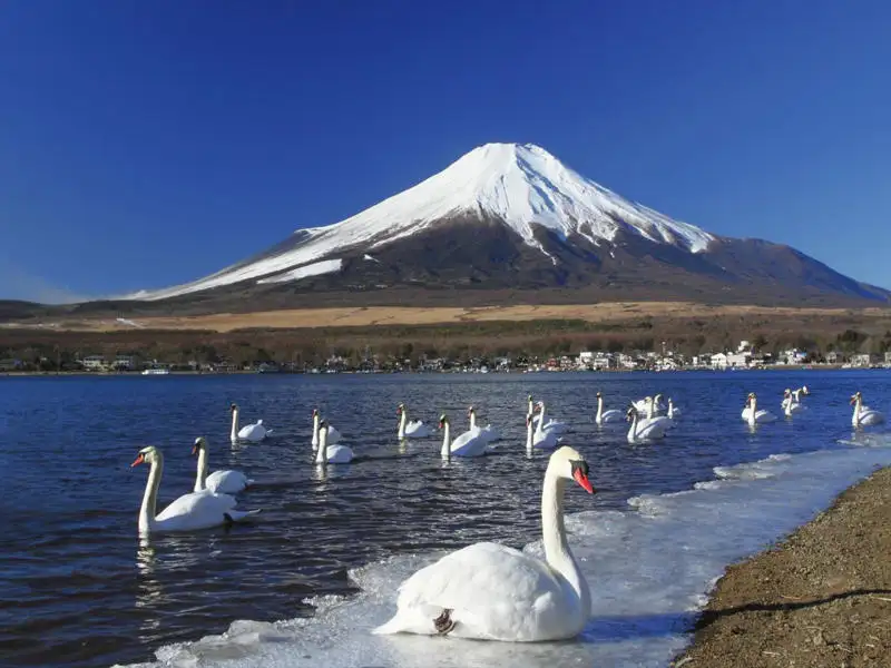 27 دولارا لتسلق المسارات الأربعة في