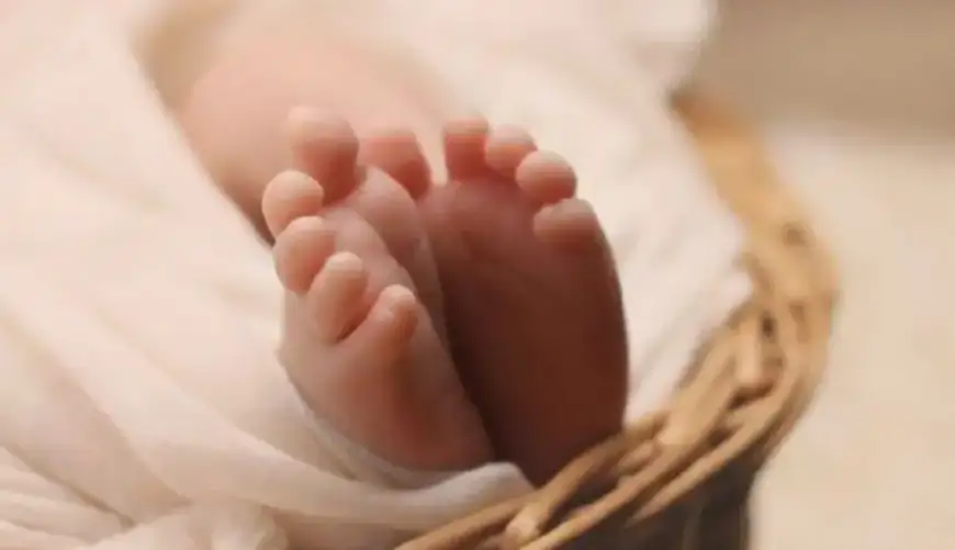 عائلة عربية .. تهريب حديثة ولادة